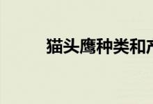 貓頭鷹種類和產地（貓頭鷹種類）