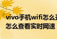 vivo手機(jī)wifi怎么開顯示實(shí)時(shí)網(wǎng)速（vivos10怎么查看實(shí)時(shí)網(wǎng)速）