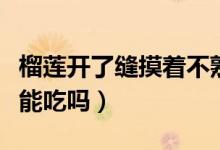 榴蓮開了縫摸著不熟能吃嗎（榴蓮開了一點(diǎn)縫能吃嗎）