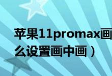 蘋果11promax畫中畫怎么設(shè)置（蘋果11怎么設(shè)置畫中畫）