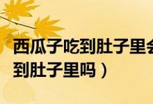 西瓜子吃到肚子里會(huì)長(zhǎng)出西瓜嗎（西瓜子能吃到肚子里嗎）