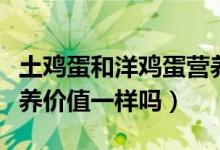 土雞蛋和洋雞蛋營養(yǎng)差別（土雞蛋和洋雞蛋營養(yǎng)價(jià)值一樣嗎）