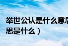 舉世公認(rèn)是什么意思簡(jiǎn)單說法(舉世公認(rèn)的意思是什么)