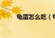 龜?shù)霸趺闯裕數(shù)霸趺闯宰詈线m）
