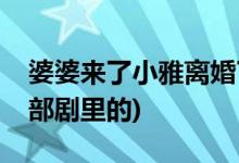 婆婆來了小雅離婚了哪一集(小雅離婚了是哪部劇里的)
