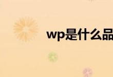 wp是什么品牌(wp是什么)