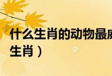 什么生肖的動(dòng)物最威風(fēng)（最威風(fēng)的動(dòng)物是什么生肖）