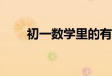 初一數(shù)學里的有理數(shù)知識點有什么？