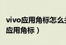vivo應(yīng)用角標(biāo)怎么關(guān)閉（榮耀x20se怎么關(guān)閉應(yīng)用角標(biāo)）