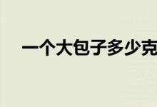 一個大包子多少克（一個大包子多少克）