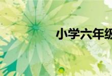 小學(xué)六年級(jí)數(shù)學(xué)怎么輔導(dǎo)