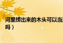 河里撈出來的木頭可以當(dāng)沉木嗎（水塘撈出的木頭能當(dāng)沉木嗎）