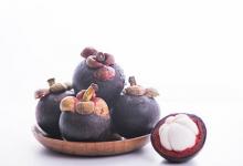 可愛(ài)蜜蜂卡手工制作