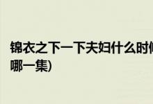 錦衣之下一下夫婦什么時候在一起(錦衣之下陸繹表白今夏是哪一集)