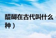 醍醐在古代叫什么（我國古代所說的醍醐是一種）