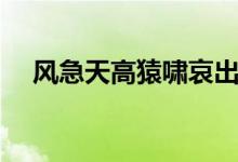 風(fēng)急天高猿嘯哀出自哪首詩(shī)（作者是誰(shuí)）