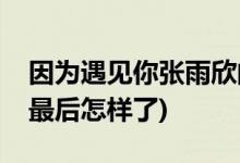 因為遇見你張雨欣的結(jié)局(因為遇見你張雨欣最后怎樣了)