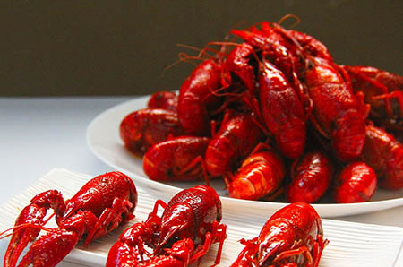 廢棄雞蛋托立體花朵手工制作5