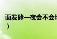 面發(fā)酵一夜會(huì)不會(huì)壞（面發(fā)酵一晚上會(huì)壞掉嗎）