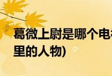 葛微上尉是哪個(gè)電視劇(葛微上尉是什么電視里的人物)