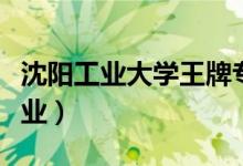 沈陽工業(yè)大學(xué)王牌專業(yè)是什么(有哪些優(yōu)勢專業(yè))