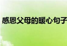 感恩父母的暖心句子(對父母表達感謝的話)