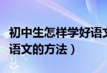 初中生怎樣學好語文小竅門（初中生怎樣學好語文的方法）