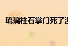 琉璃柱石掌門(mén)死了沒(méi)(琉璃柱石掌門(mén)死了嗎)