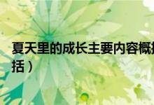 夏天里的成長主要內容概括20字（夏天里的成長主要內容概括）
