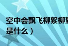 空中會(huì)飄飛柳絮柳絮是指（現(xiàn)在外面飄的飛絮是什么）