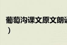 葡萄溝課文原文朗誦（葡萄溝課文原文及賞析）