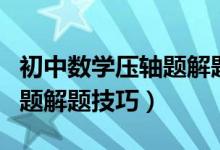 初中數(shù)學(xué)壓軸題解題技巧解析（初中數(shù)學(xué)壓軸題解題技巧）