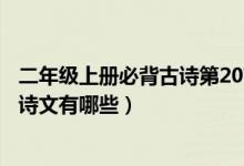 二年級(jí)上冊(cè)必背古詩第20首（人教版二年級(jí)下冊(cè)語文必背古詩文有哪些）