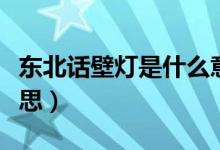 東北話壁燈是什么意思（東北話壁燈是什么意思）