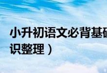 小升初語文必背基礎(chǔ)知識(shí)（小升初語文必背知識(shí)整理）