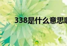 338是什么意思?。?38是什么意思）