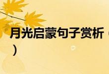 月光啟蒙句子賞析(月光啟蒙課文原文及賞析)