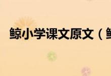 鯨小學課文原文（鯨課文原文及段落分析）