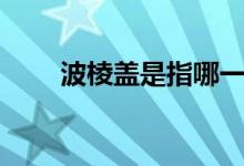 波棱蓋是指哪一塊（波靈蓋是什么）