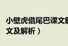 小壁虎借尾巴課文解讀（小壁虎借尾巴課文原文及解析）