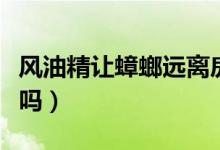 風(fēng)油精讓蟑螂遠(yuǎn)離房間（蟑螂怕風(fēng)油精的味道嗎）