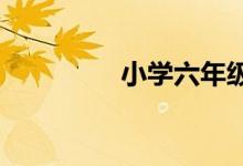 小學(xué)六年級(jí)數(shù)學(xué)輔導(dǎo)方法