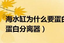 海水缸為什么要蛋白分離器（海水缸為什么要蛋白分離器）