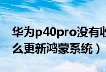 華為p40pro沒有收到鴻蒙更新（華為p40怎么更新鴻蒙系統(tǒng)）
