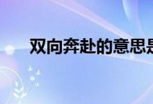 雙向奔赴的意思是（雙向奔赴的意思）