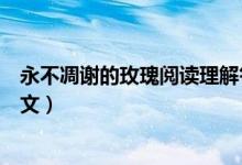 永不凋謝的玫瑰閱讀理解答案（小學(xué)永不凋謝的玫瑰課文原文）