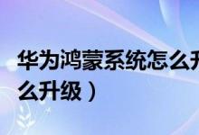 華為鴻蒙系統(tǒng)怎么升級申請（華為鴻蒙系統(tǒng)怎么升級）