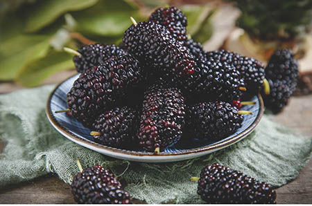 立體仙人掌花朵的做法6