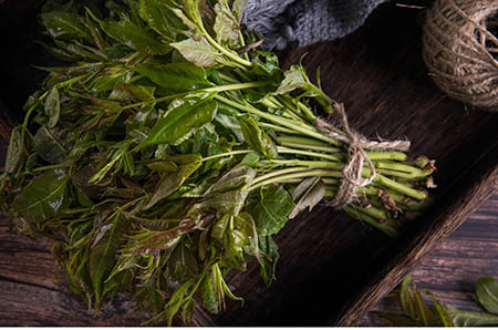 立體仙人掌花朵的做法8