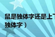 鼠是獨(dú)體字還是上下結(jié)構(gòu)(鼠是上下結(jié)構(gòu)還是獨(dú)體字)